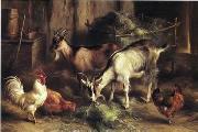 unknow artist poultry  160 Sweden oil painting artist